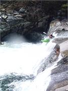 Tellico 14